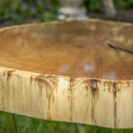 Stolik kawowy FOREST do salonu złoty z plastra drewna glamour z linii NATUREL