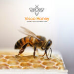 Wygodny Materac Materasso PROPOLIS VITAL z linii SWISS