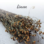 Wygodny Materac Materasso BIOGREEN LINE z linii BIO-GREEN