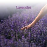 Wygodny Materac Materasso LUSSA z linii FLEXIBLE