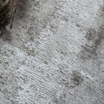 Ekskluzywny Dywan IMPERIAL SAVANNA BEIGE 6626 nowoczesny beżowy